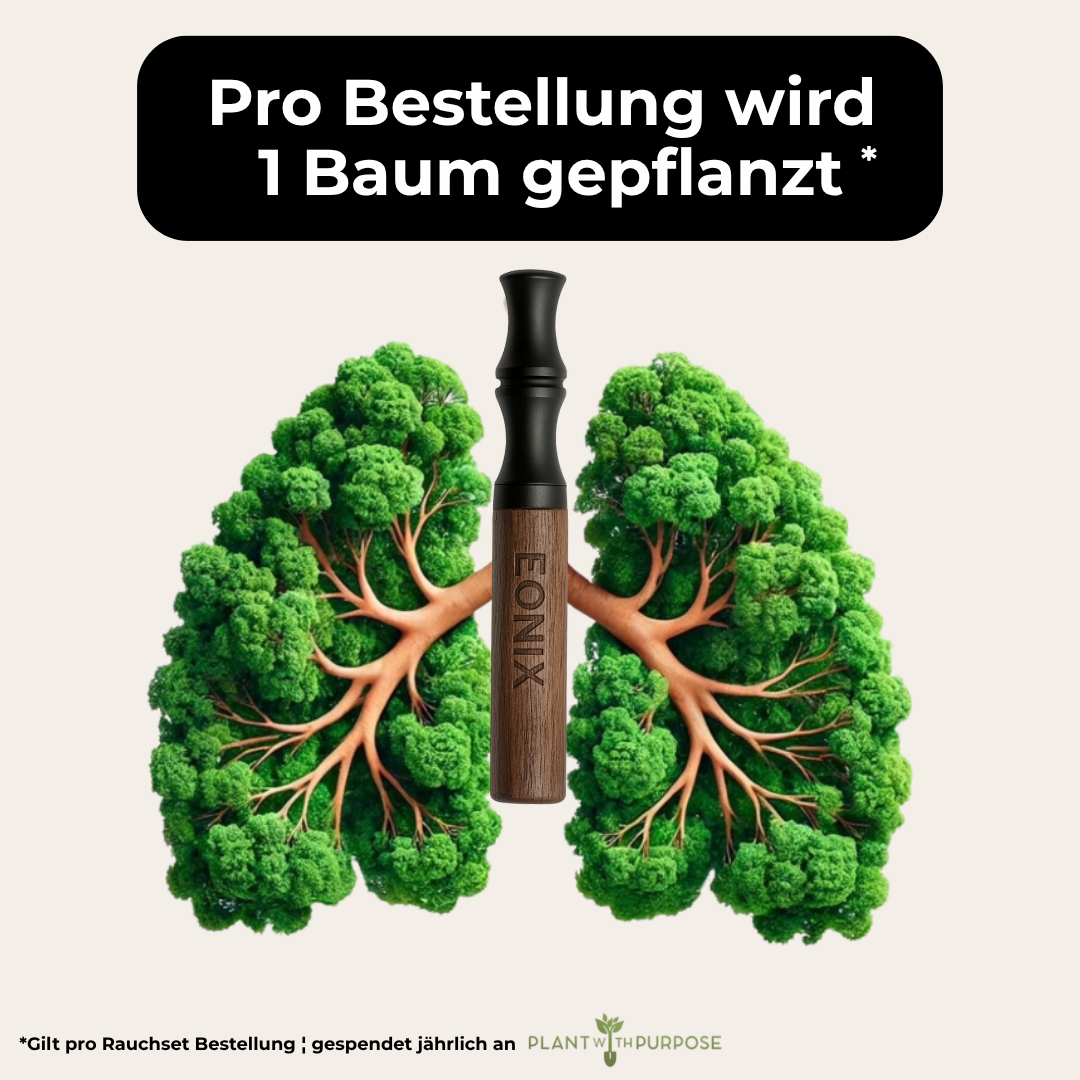 EONIX ¦ Rauchstopp-Set